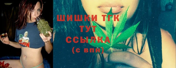 дмт Киреевск