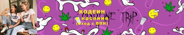 крисы Кинешма