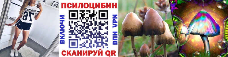 Псилоцибиновые грибы Cubensis  Купить закладки  Катав-Ивановск 