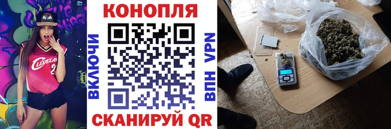 Шишки марихуана Amnesia  Купить закладки  Катав-Ивановск 